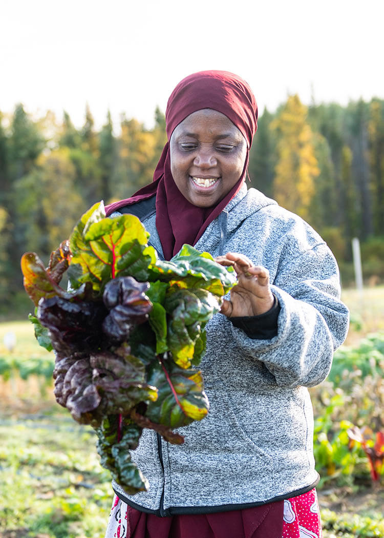 A farmer holding just-harvested lettuce